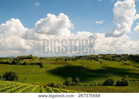 Shadows Of Clouds On Vineyard Landscape, Italian Vineyards Of Ziano Piacentino