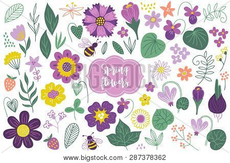 Set Of Spring Flowers And Berries - Tulip, Crocus, Viola, Cyclamen, Chamomile, Daisy, Mimosa, Clover