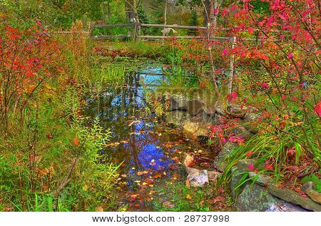 Bloemen en reflecties
