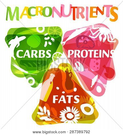 Main Food Groups - Macronutrients. Carbohydrates, Fats And Proteins In Comparison. Dieting, Healthca