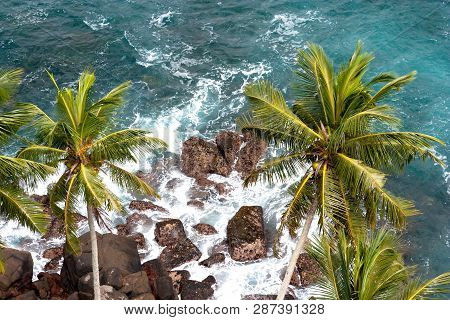 Beautiful Ocean In Sri Lanka. View From Top Of Lighthouse Dondra. Palms And Ocean From High Viewpoin