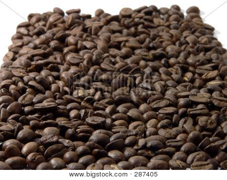 Caffe '