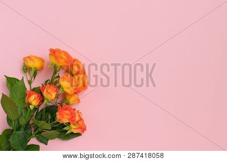 Background Of A Bouquet Of Beautiful Fresh Vivid Orange Roses Tinged With Red For Celebrating Valent