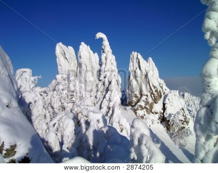 在山脉、 森林、 岩石、 森林、 天空雪冬
