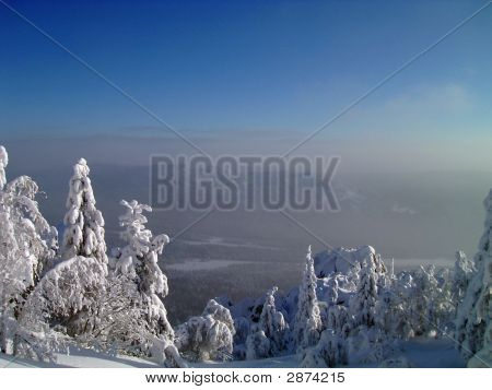山中雪冬