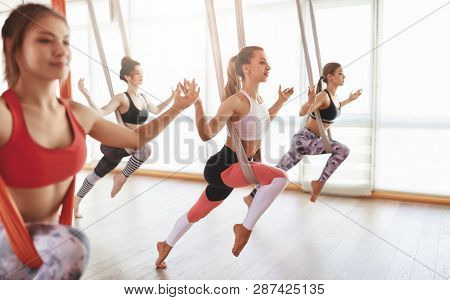 A Group Of People Engaged In A Class Of Yoga Aero In Hammocks Antigravity