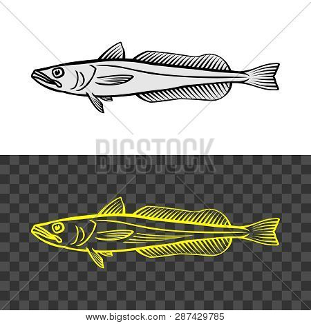 Hake Fish Common Illustration. Cape Hake Logo.