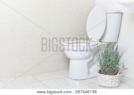 White water closet toilet