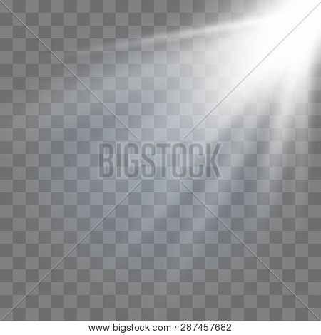 Sunlight Lens Flare Light Effect. Bright Beautiful Star. Vector Illustration Eps10