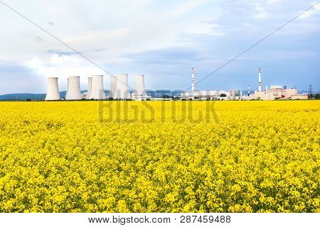Nuclear Power Plant With Cooling Towers Behind Yellow Rapeseed Field