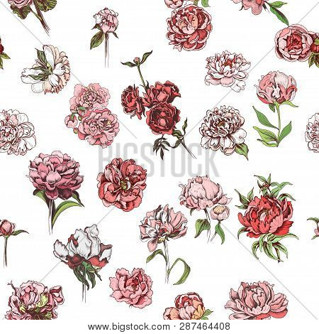Vector Illustration Sketch - Card With Flowers Chrysanthemum, Peony. Pattern With Flowers. Dahlias, 
