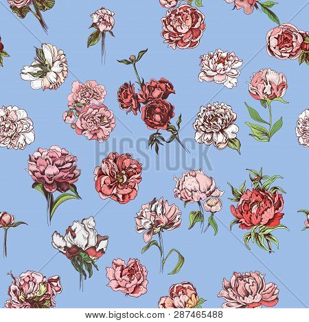 Vector Illustration Sketch - Card With Flowers Chrysanthemum, Peony. Pattern With Flowers. Dahlias, 