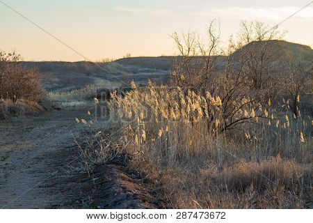 Winter Tavrian Steppe