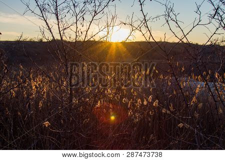 Winter Tavrian Steppe