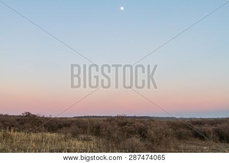 Winter Tavrian Steppe