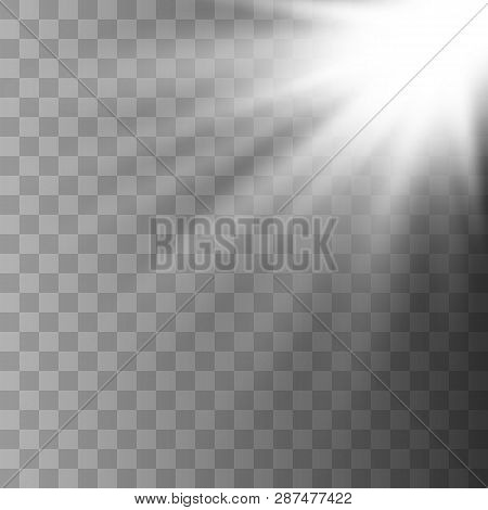 Sunlight Lens Flare Light Effect. Bright Beautiful Star. Vector Illustration Eps10