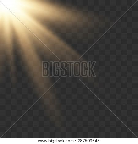 Sunlight Lens Flare Light Effect. Bright Beautiful Star. Vector Illustration Eps10