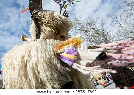 Ljubljana, Slovenia / Slovenia - February 02 2019: Carnival In Slovenia With Some Traditional Sloven