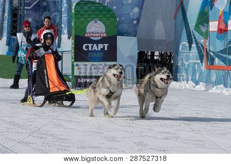 Petropavlovsk Kamchatsky City, Kamchatka Peninsula, Russian Far East - February 21, 2019: Kamchatka 