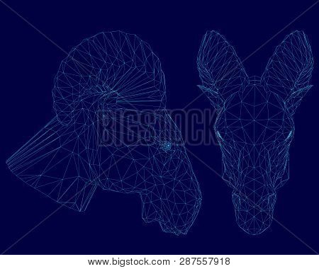 Two Ram Head Wireframe. Front And Side View. Polygonal Ram Head Of Blue Lines On A Dark Background. 