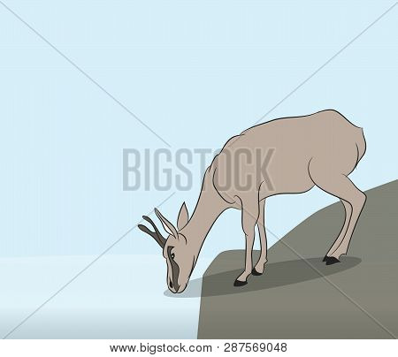 Vector Illustration Of A Gazelle At A Waterhole, Vector, Wildlife