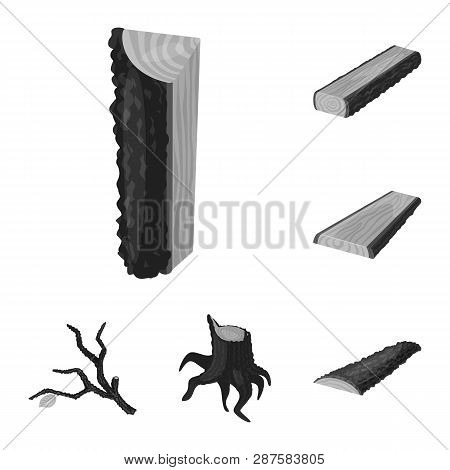 Vector Design Of Forest And Wooden Sign. Collection Of Forest And Nature  Stock Vector Illustration.