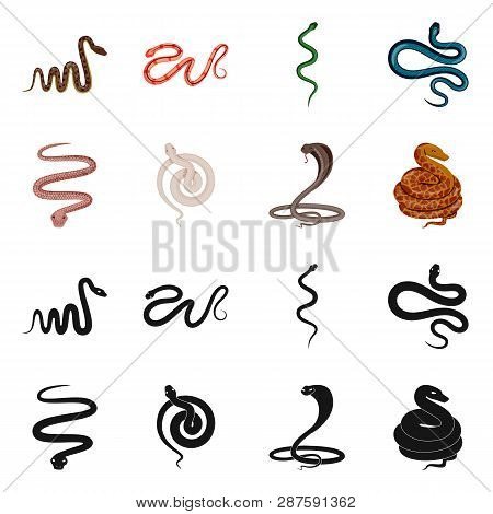 Vector Design Of Mammal And Danger Icon. Set Of Mammal And Medicine Stock Symbol For Web.