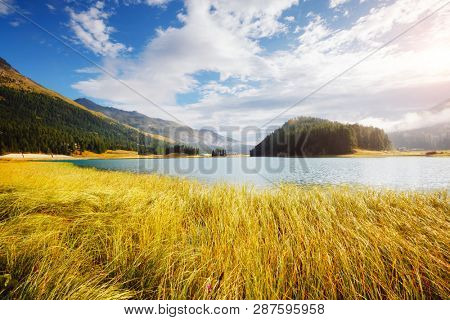 Awesome alpine lake Champfer in beautiful summer day. Location place Silvaplana village, Swiss alps, district of Maloja, Europe. Scenic image of famous european resort. Discover the beauty of earth.