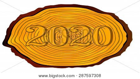 A Section Of A Sawn Log With The Date 2020 Over A White Background