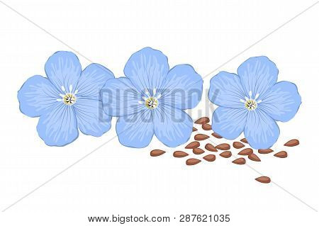 Flax Flowers And Flax Seeds, Isolated On A White Background. Blue Flowers. Summer Plants. Vector Ill