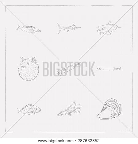 Set Of Fauna Icons Line Style Symbols With Mussel, Puffer Fish, Saury And Other Icons For Your Web M