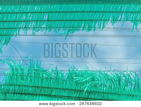 The Old Green Sun Protection Mesh And Lack. Can Not Prevent Sunlight.