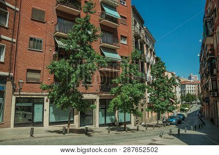 Building With Bricks Facade And Trees On A Quiet Street In Madrid