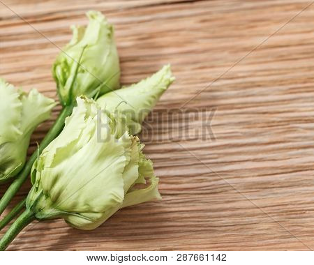 Small Delicate Flowers Of Eustoma On Aged Wooden Desktop With Copy Space. Blooming Eustoma Greenish 