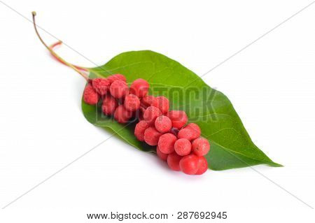 Schisandra Chinensis Berries Isolated On White Background