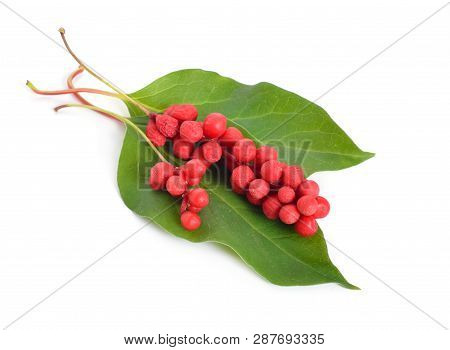 Schisandra Chinensis Berries Isolated On White Background
