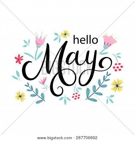 Hello May. Handwritten Lettering With Flowers In Scandinavian Style. Season Vector Illustration As P