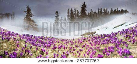 March Carpathians