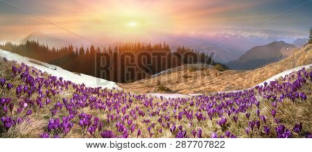 In March-april After A Winter
