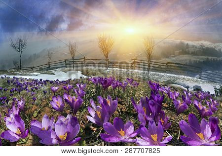 In March-april After A Winter