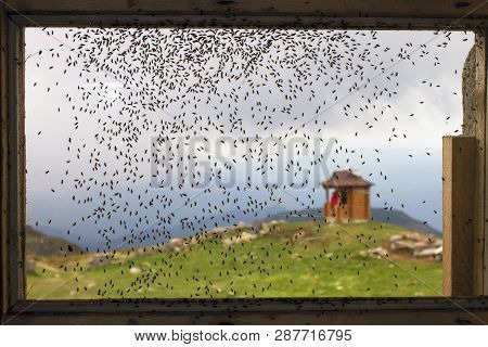 In Areas With Poor Ventilation And The Environment Violated Health Standards And Bred Harmful Hazard