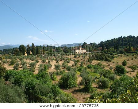 Firenze - en smuk udsigt over Boboli-haven