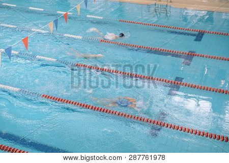Swim In Swiming Pool. Closed Pool. Swim For Speed. Swimming Competition.