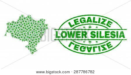 Vector Cannabis Lower Silesian Voivodeship Map Mosaic And Grunge Textured Legalize Stamp Seal. Conce