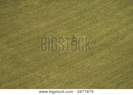 Cropland