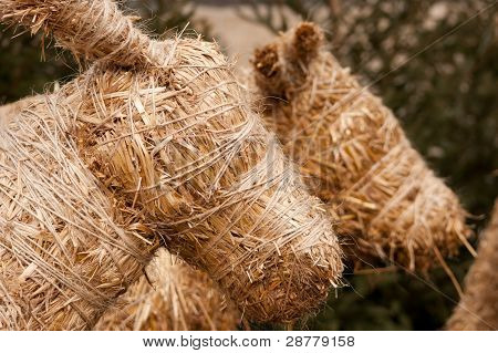Straw Cattles