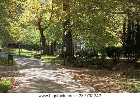 Agios Nikolaos Park Naousa Greece Europe