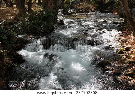 Agios Nikolaos Park Naousa Greece Europe