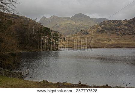 Blea Tarn And The Langdale Pikes In The Lake District Cumbria England