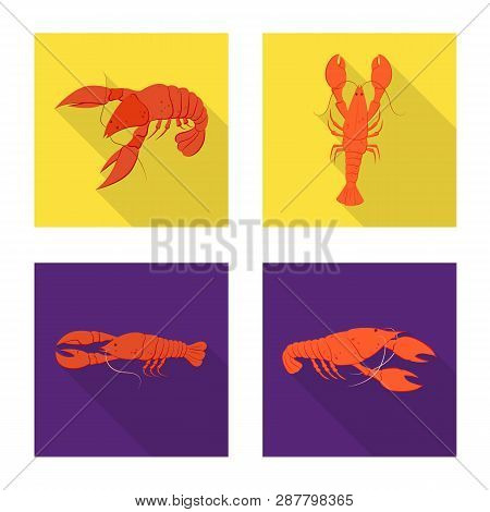 Vector Illustration Of Appetizer And Seafood Logo. Set Of Appetizer And Ocean Vector Icon For Stock.